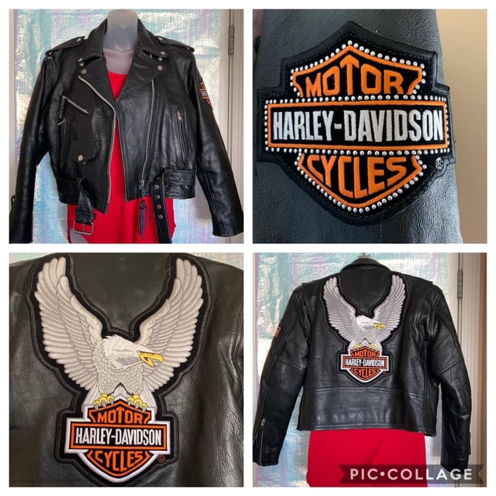 Harley Davidson Leather Jacket
